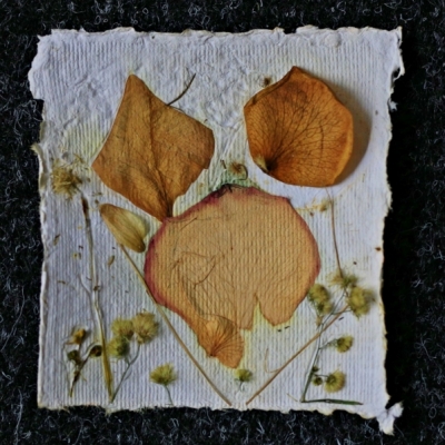 3www.jpg