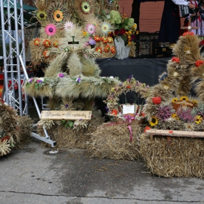 IMG_4769www.jpg